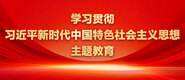 被强的丰满人妻中文字幕黑人学习贯彻习近平新时代中国特色社会主义思想主题教育_fororder_ad-371X160(2)